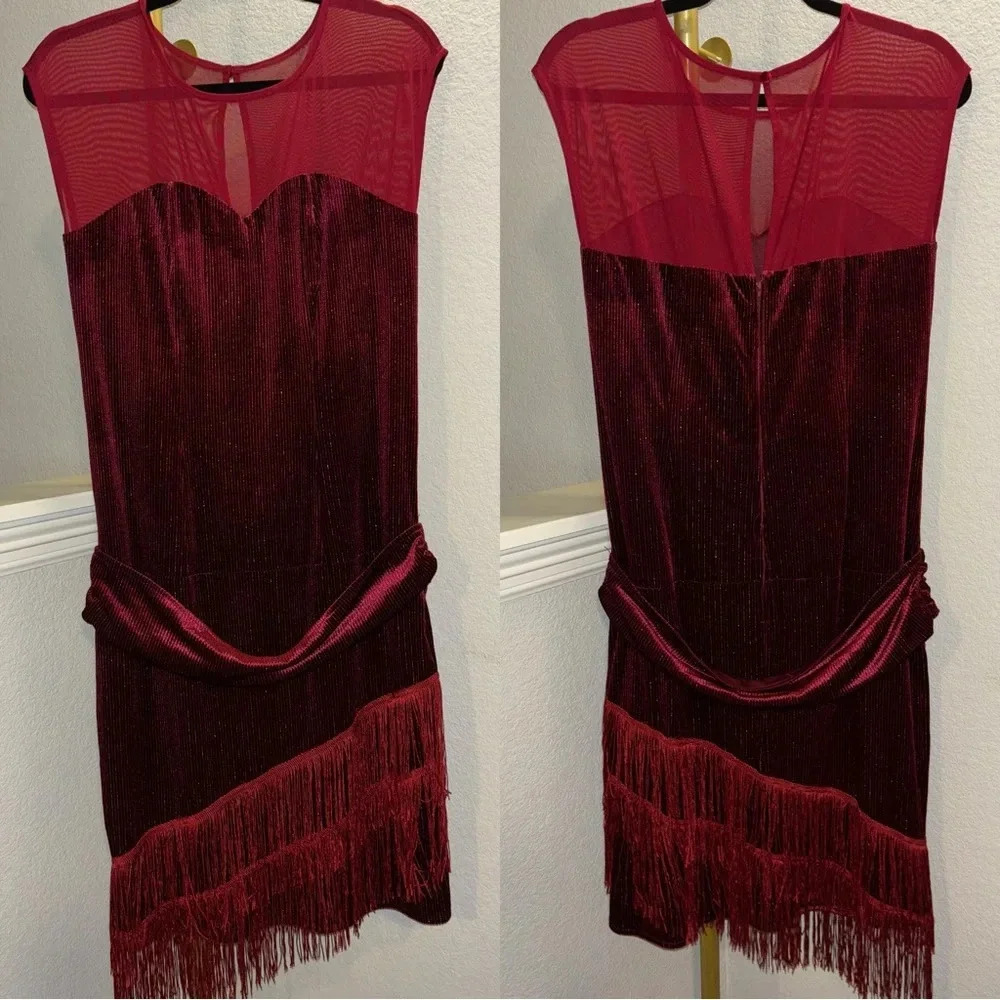 NWOT Unique Vintage Red Velour Flapper Dress - Picture 3 of 4